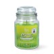 Magic Lights Citronella aromātiskā svece ar koka degli burciņā 510g