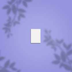 Staleks PRO Expert NFB-51M-100/180-50 taisnstūra mini slīpēšanas bufs 100/180 grit 50gab