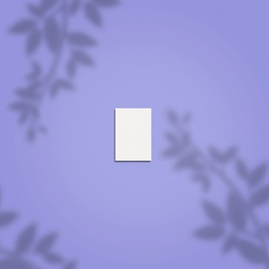 Staleks PRO Expert NFB-51M-100/180-50 taisnstūra mini slīpēšanas bufs 100/180 grit 50gab