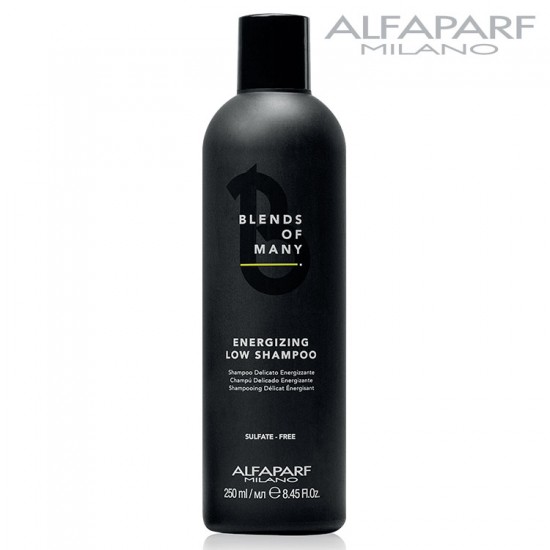 AlfaParf Blends Of Many шампунь против выпадения волос для мужчин 250мл