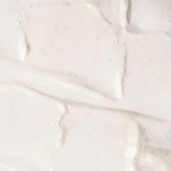 Payot Pate Grise Moisturising Mattifying Emulsion mitrinoša emulsija ar matējošu efektu 50ml