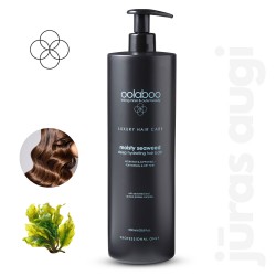 Oolaboo Moisty Seaweed intensīvi mitrinošs šampūns ļoti sausiem matiem 1L