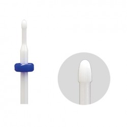 Keramisks urbis kutikulai 623-26